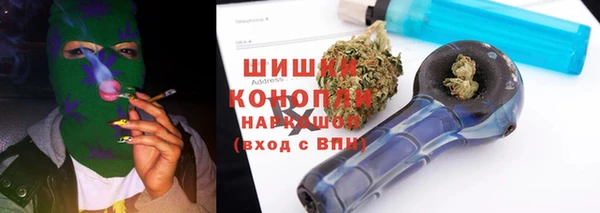 PSILOCYBIN Богданович