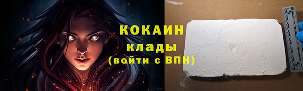 PSILOCYBIN Богданович