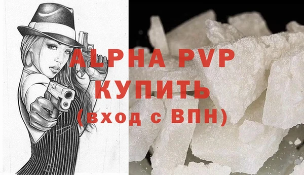 PSILOCYBIN Богданович