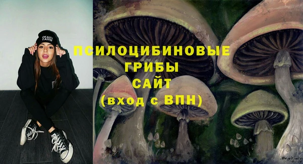 гашик Богородицк