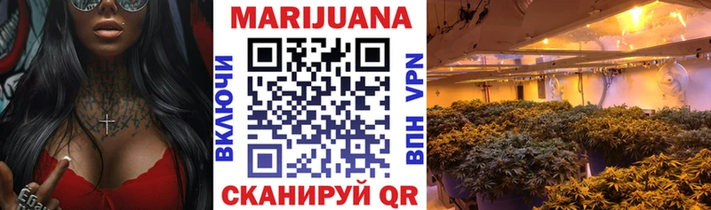 Конопля гибрид  сколько стоит  Кириши 